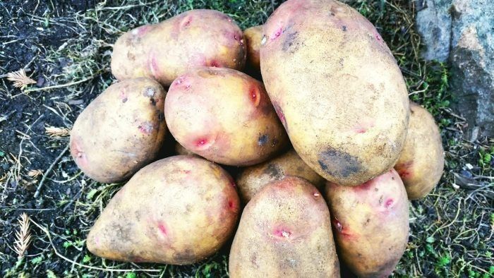 ��������� ���������: ����� ���� � �������� ����������� ��� ������ �������