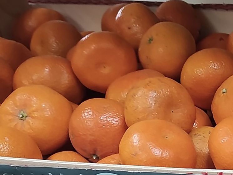 ��� ������� ��������� ���������: ������, ������� ����� �����