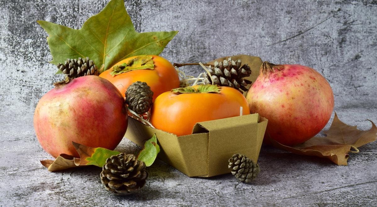 �������� ����: ����� �������� ����� �������� �� ���� � ������