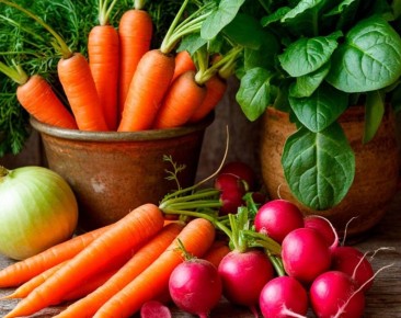 ������ �������� ����� ��� ��������: ��� �������?