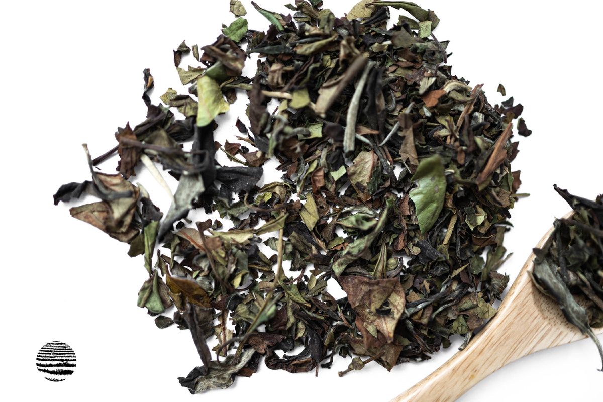 ��� �� ����: ���������� ������ ���, ������� �������� � ������ �������