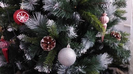 ������ ����� ���: ��� ����� �������� ����� �������� ��������� � 2025 ����