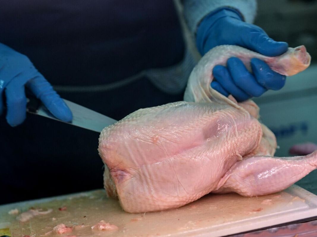 ���� ������: ����� �� ������������?