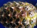 Почему ананас и киви размягчают мясо лучше кислоты