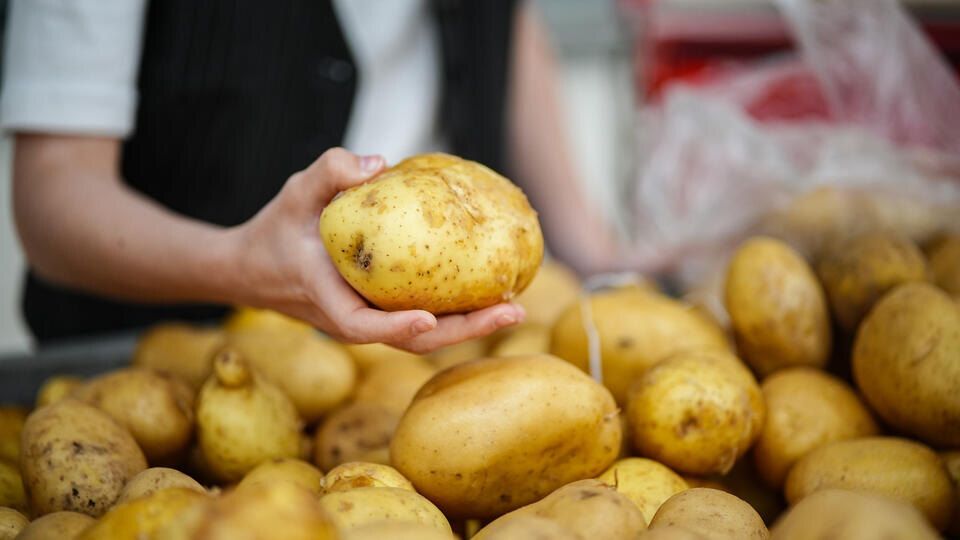 Цены на продукты в России продолжают падать: что ждать покупателям?