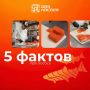Интересные факты о лососе, которые вас удивят