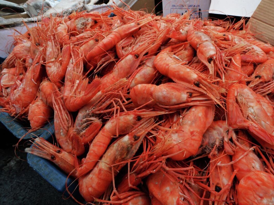 Креветки: морепродукт для укрепления иммунитета и здоровья