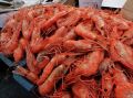 Креветки: морепродукт для укрепления иммунитета и здоровья