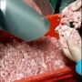 Мясо механической обвалки: что скрыто за аббревиатурой ММО?